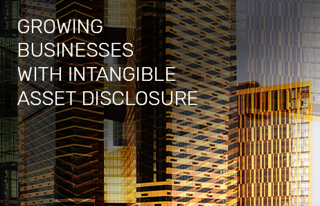 Growing Businesses with Intangible Asset Disclosure