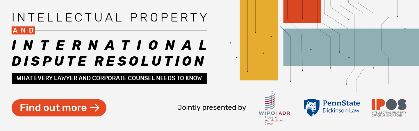 Intellectual Property & International Dispute Resolution - What Every Lawyer And Corporate Counsel Needs To Know